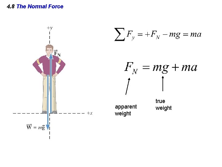 4. 8 The Normal Force apparent weight true weight 