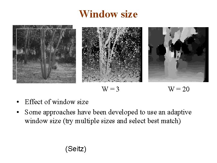 Window size W=3 W = 20 • Effect of window size • Some approaches
