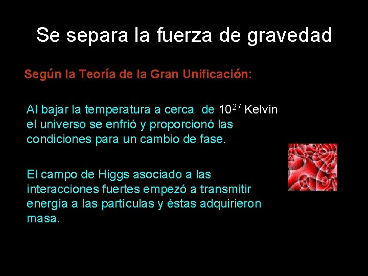 Se separa la fuerza de gravedad Según la Teoría de la Gran Unificación: Al