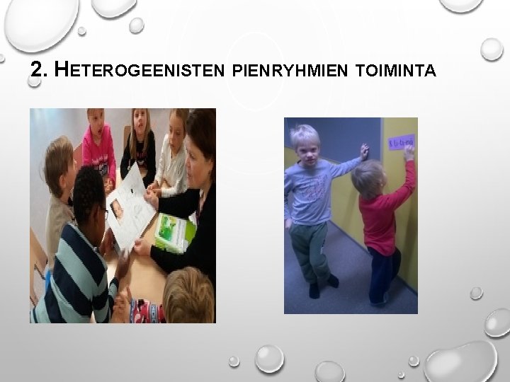 2. HETEROGEENISTEN PIENRYHMIEN TOIMINTA 