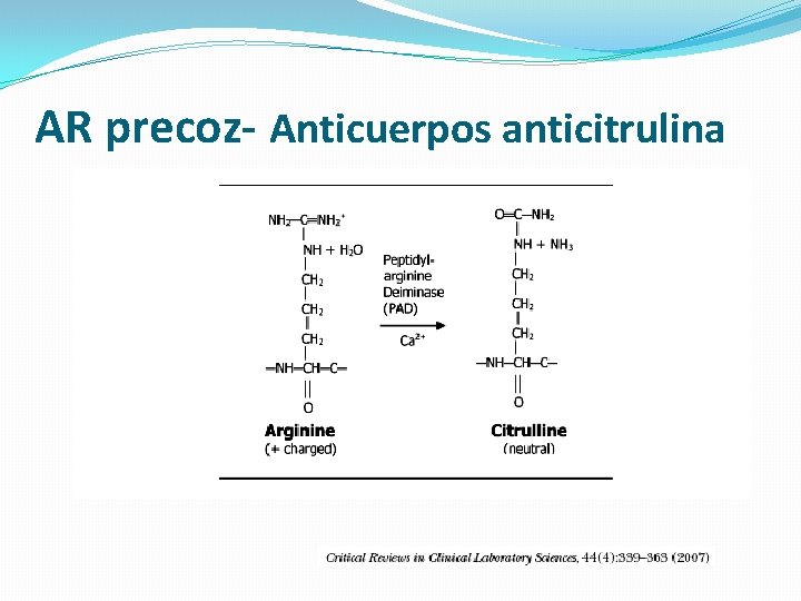 AR precoz- Anticuerpos anticitrulina 