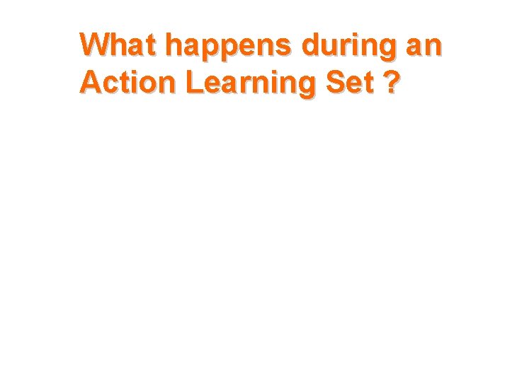 What happens during an Action Learning Set ? What happens during an Action Learning Set ?