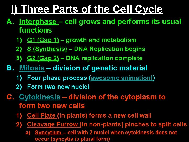 I) Three Parts of the Cell Cycle A. Interphase – cell grows and performs
