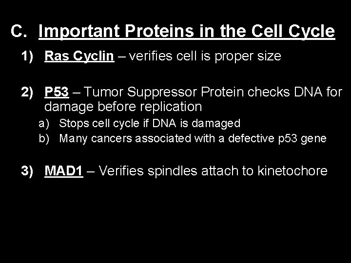 C. Important Proteins in the Cell Cycle 1) Ras Cyclin – verifies cell is