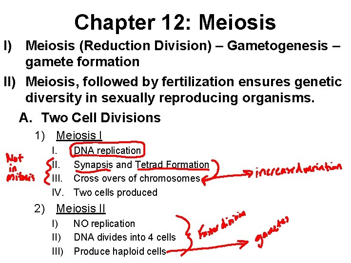 Chapter 12: Meiosis I) Meiosis (Reduction Division) – Gametogenesis – gamete formation II) Meiosis,