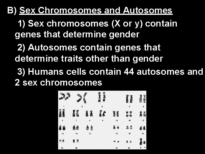 B) Sex Chromosomes and Autosomes 1) Sex chromosomes (X or y) contain genes that