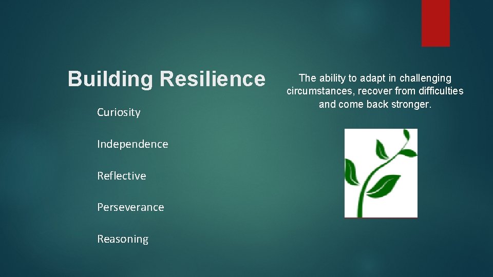 Building Resilience Curiosity Independence Reflective Perseverance Reasoning The ability to adapt in challenging circumstances,