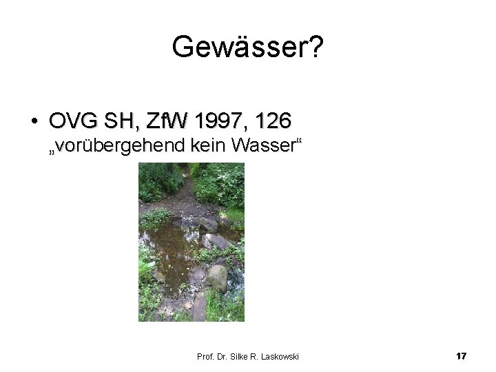 Gewässer? • OVG SH, Zf. W 1997, 126 „vorübergehend kein Wasser“ Prof. Dr. Silke