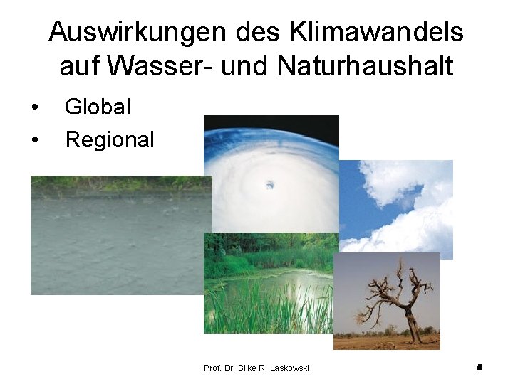 Auswirkungen des Klimawandels auf Wasser- und Naturhaushalt • • Global Regional Prof. Dr. Silke