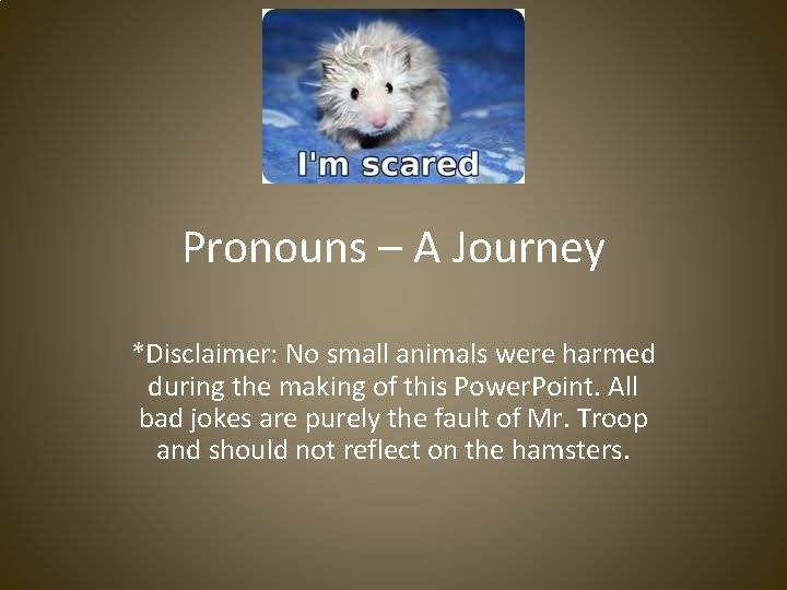 Pronouns – A Journey *Disclaimer: No small animals were harmed during the making of