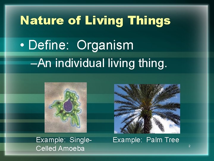 Nature of Living Things • Define: Organism –An individual living thing. Example: Single. Celled