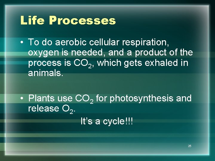 Life Processes • To do aerobic cellular respiration, oxygen is needed, and a product