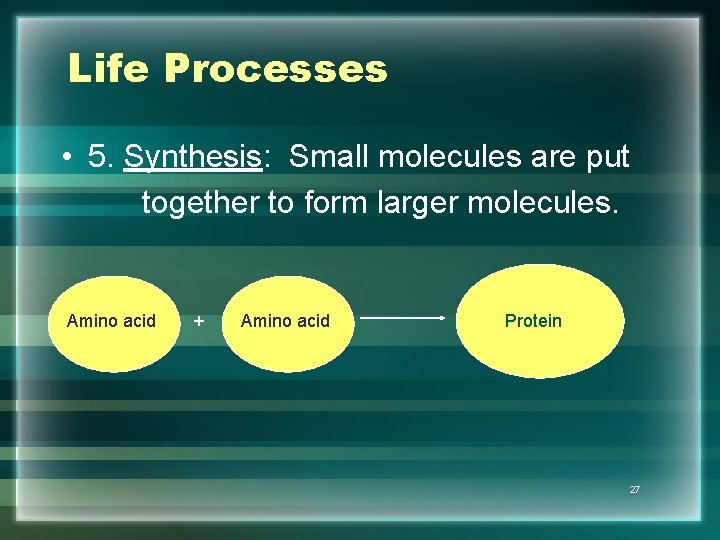 Life Processes • 5. Synthesis: Small molecules are put together to form larger molecules.