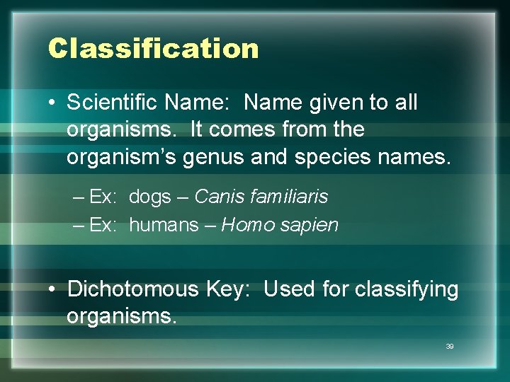 Classification • Scientific Name: Name given to all organisms. It comes from the organism’s