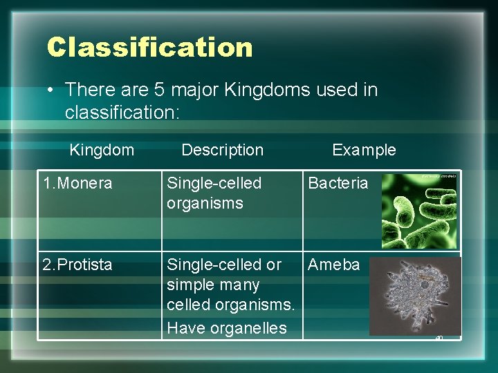 Classification • There are 5 major Kingdoms used in classification: Kingdom Description Example 1.