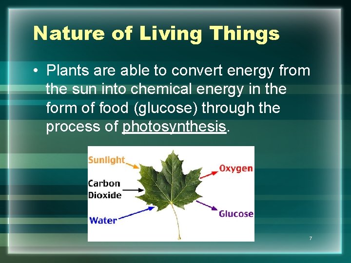 Nature of Living Things • Plants are able to convert energy from the sun