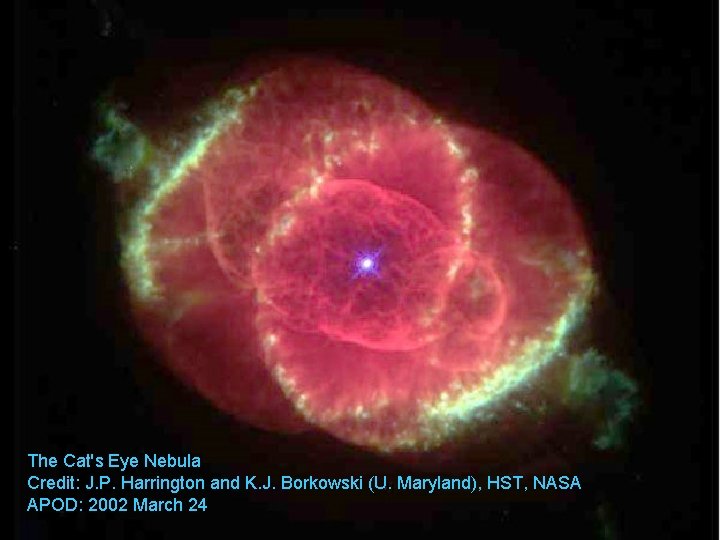 The Cat's Eye Nebula Credit: J. P. Harrington and K. J. Borkowski (U. Maryland),