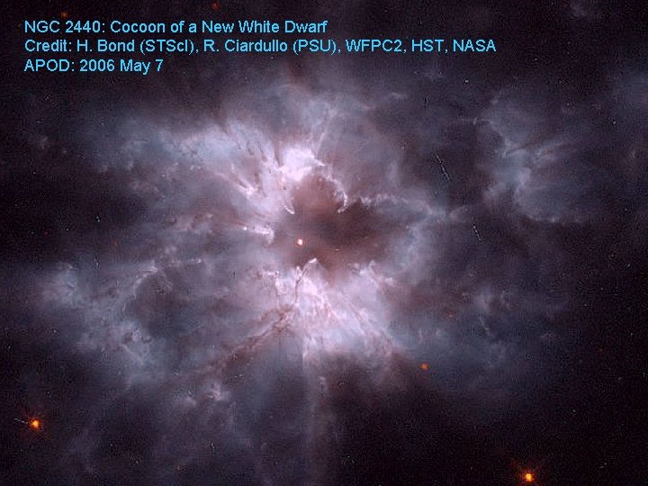 NGC 2440: Cocoon of a New White Dwarf Credit: H. Bond (STSc. I), R.