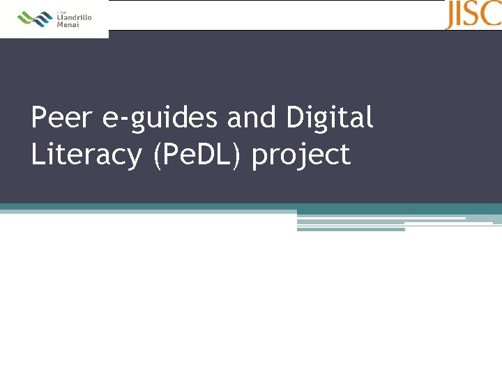 Peer e-guides and Digital Literacy (Pe. DL) project 