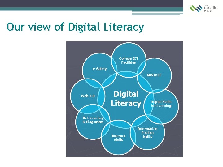 Our view of Digital Literacy 