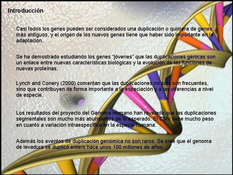 Introducción Casi todos los genes pueden ser considerados una duplicación o quimera de genes