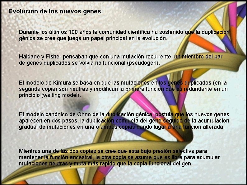 Evolución de los nuevos genes Durante los últimos 100 años la comunidad científica ha