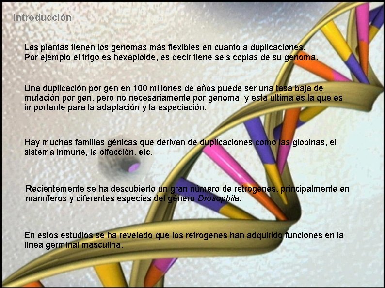 Introducción Las plantas tienen los genomas más flexibles en cuanto a duplicaciones. Por ejemplo