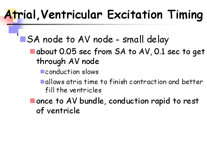 Atrial, Ventricular Excitation Timing n SA node to AV node - small delay n