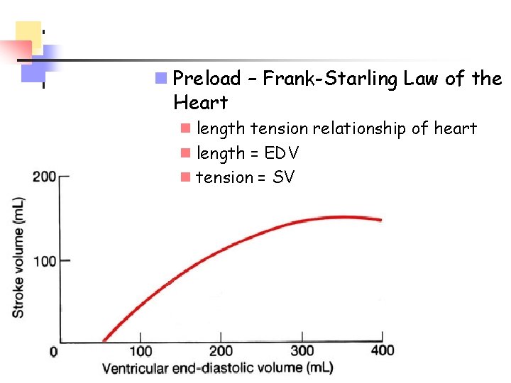 n Preload – Frank-Starling Law of the Heart n length tension relationship of heart