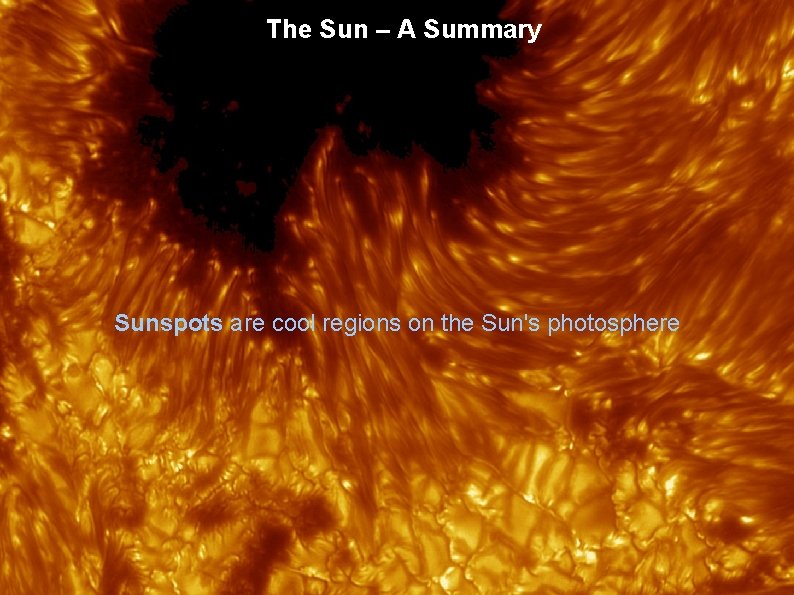 The Sun – A Summary Sunspots are cool regions on the Sun's photosphere 