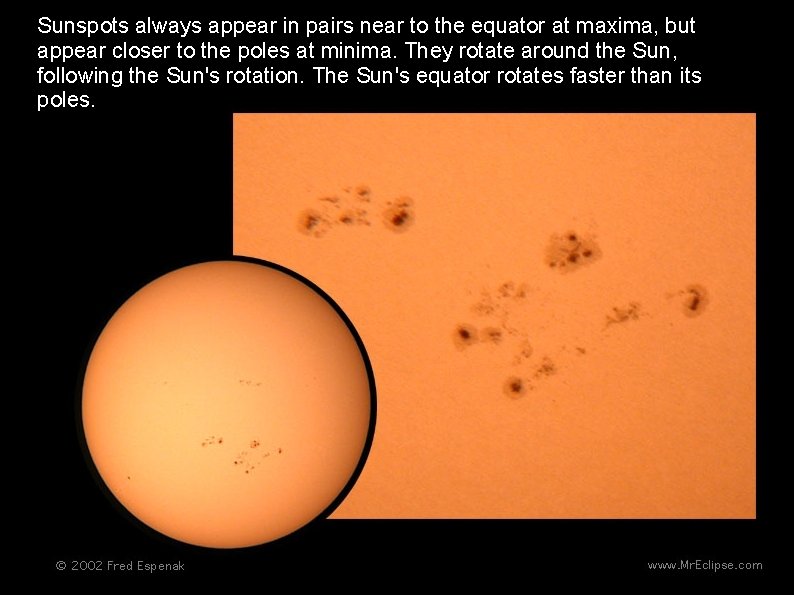 Sunspots always appear in pairs near to the equator at maxima, but appear closer