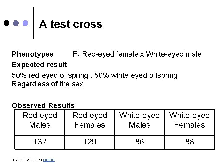 A test cross Phenotypes F 1 Red-eyed female x White-eyed male Expected result 50%