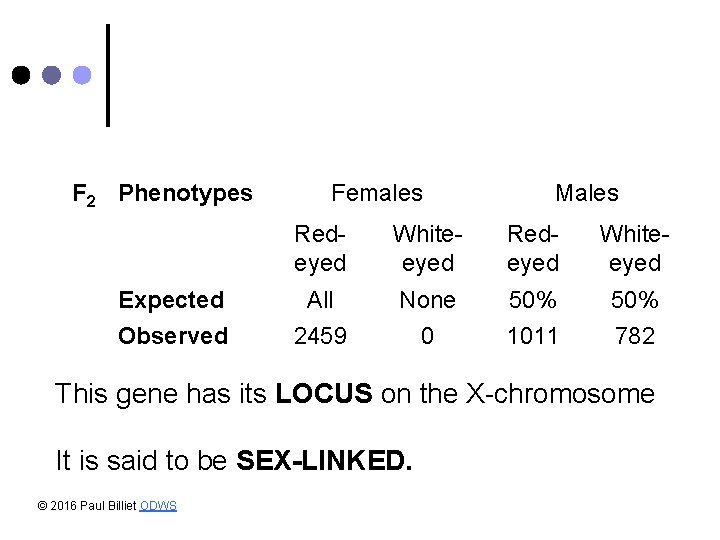 F 2 Phenotypes Females Males Redeyed Whiteeyed Expected All None 50% Observed 2459 0