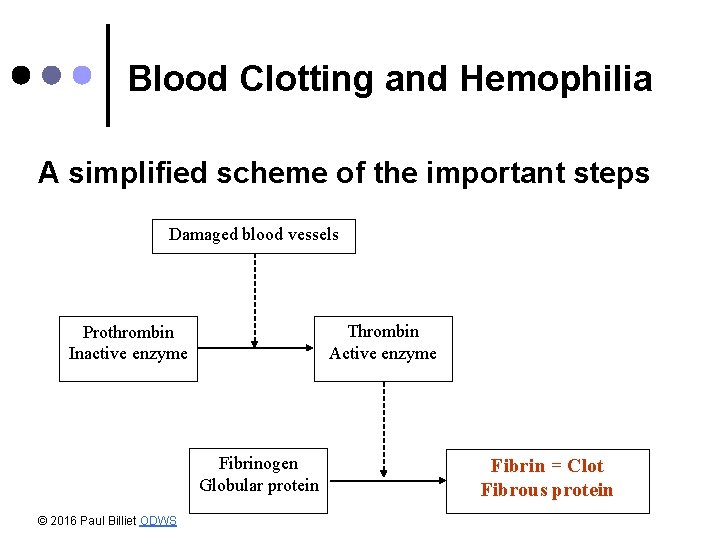 Blood Clotting and Hemophilia A simplified scheme of the important steps Damaged blood vessels