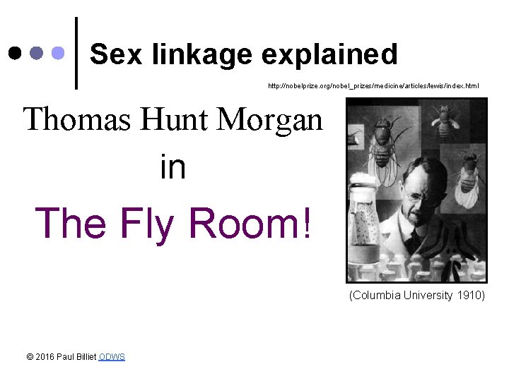 Sex linkage explained http: //nobelprize. org/nobel_prizes/medicine/articles/lewis/index. html Thomas Hunt Morgan in The Fly Room!