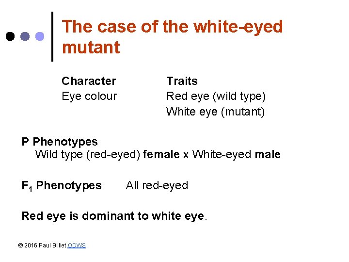 The case of the white-eyed mutant Character Eye colour Traits Red eye (wild type) The case of the white-eyed mutant Character Eye colour Traits Red eye (wild type)