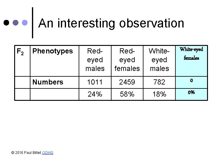 An interesting observation F 2 Phenotypes Redeyed males Redeyed females Whiteeyed males White-eyed females