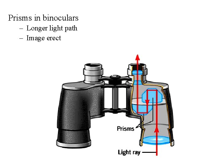 Prisms in binoculars – Longer light path – Image erect 