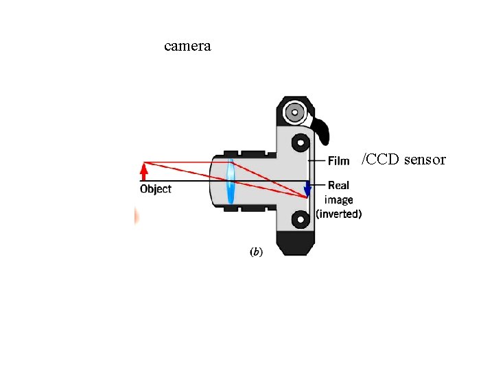 camera /CCD sensor 