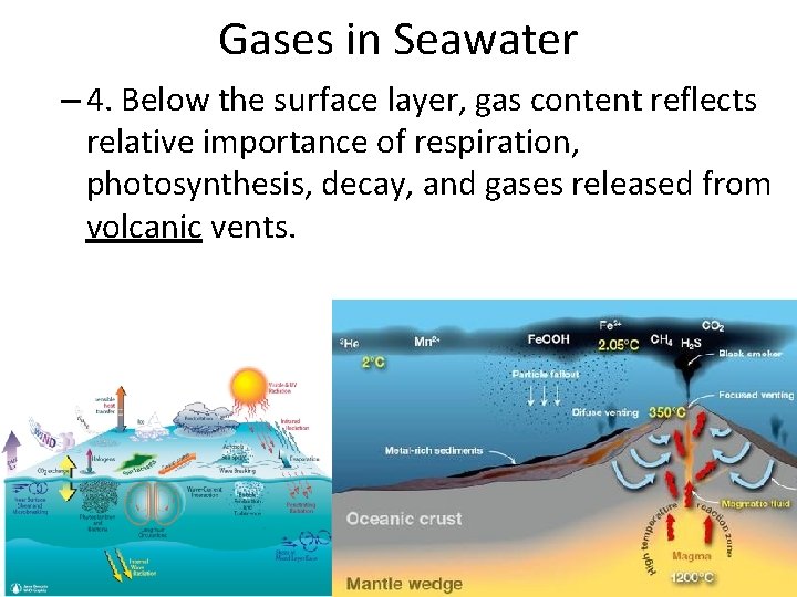 Gases in Seawater – 4. Below the surface layer, gas content reflects relative importance