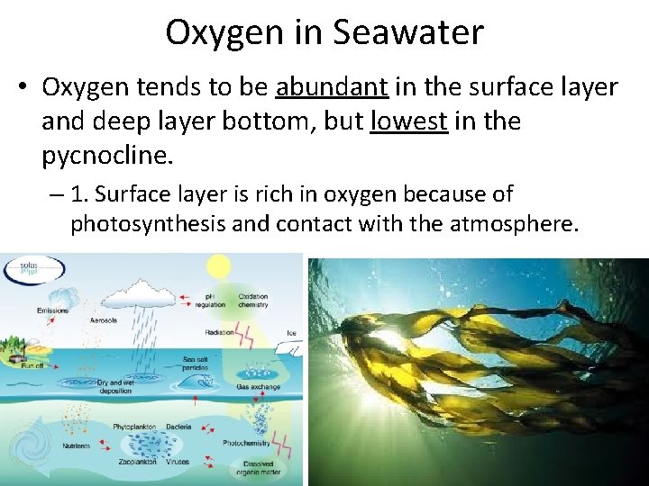Oxygen in Seawater • Oxygen tends to be abundant in the surface layer and