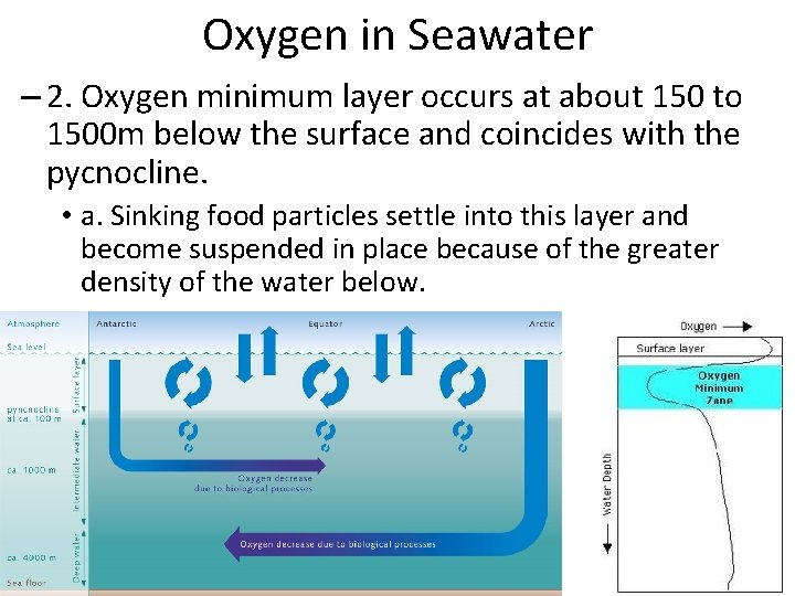 Oxygen in Seawater – 2. Oxygen minimum layer occurs at about 150 to 1500