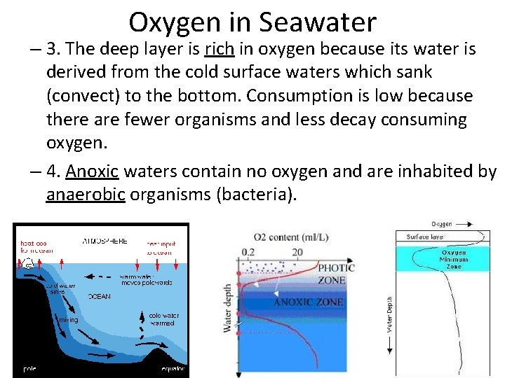 Oxygen in Seawater – 3. The deep layer is rich in oxygen because its