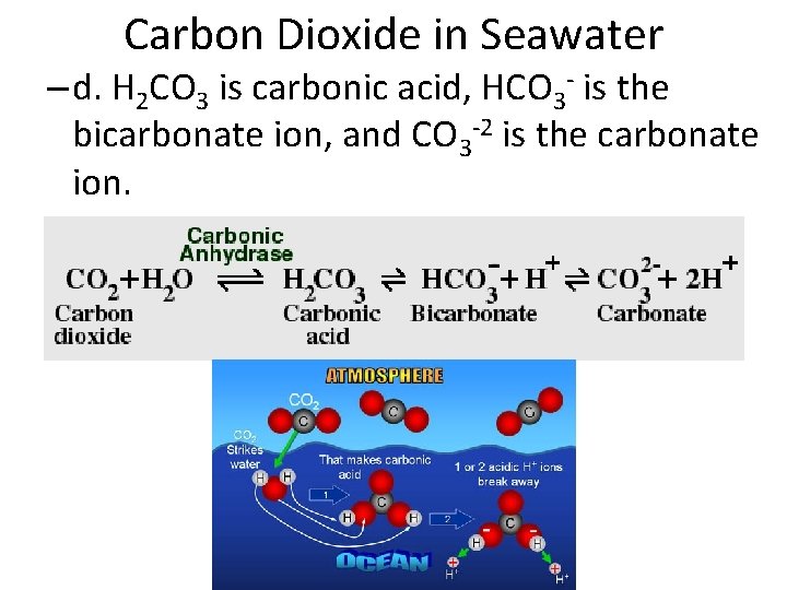 Carbon Dioxide in Seawater – d. H 2 CO 3 is carbonic acid, HCO