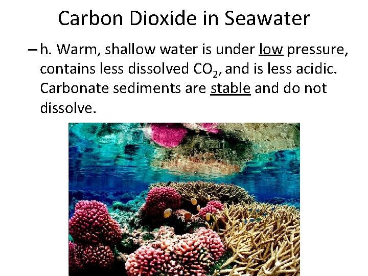 Carbon Dioxide in Seawater – h. Warm, shallow water is under low pressure, contains