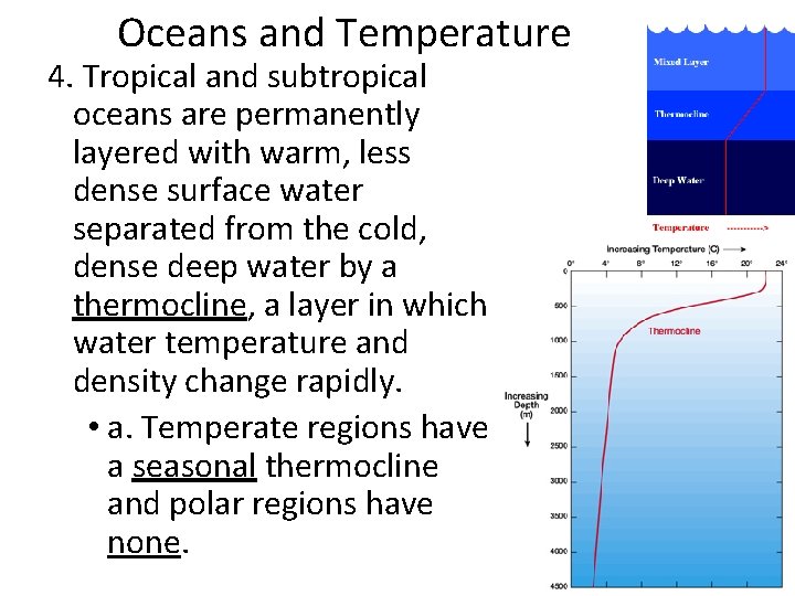 Oceans and Temperature 4. Tropical and subtropical oceans are permanently layered with warm, less