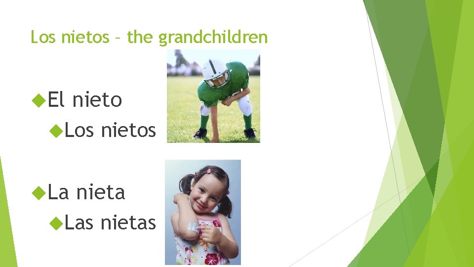 Los nietos – the grandchildren El nieto Los nietos La nieta Las nietas 