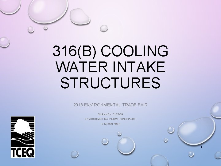 316(B) COOLING WATER INTAKE STRUCTURES 2018 ENVIRONMENTAL TRADE FAIR SHANNON GIBSON ENVIRONMENTAL PERMIT SPECIALIST