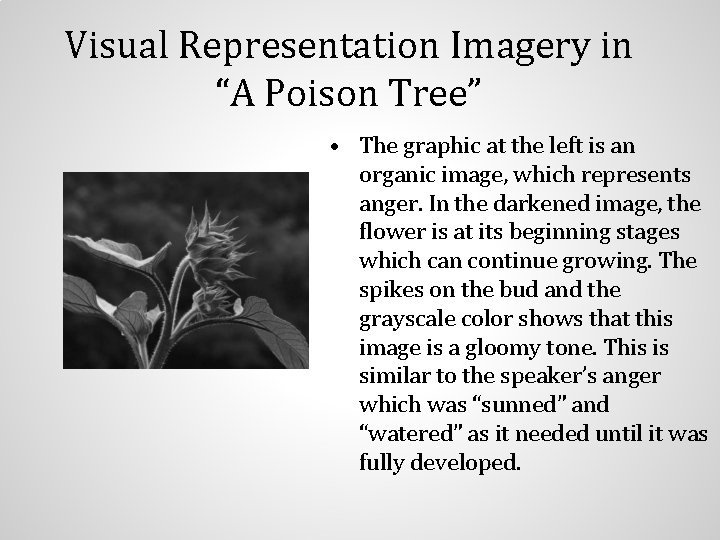 Visual Representation Imagery in “A Poison Tree” • The graphic at the left is