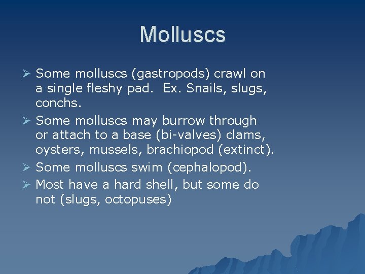 Molluscs Ø Some molluscs (gastropods) crawl on a single fleshy pad. Ex. Snails, slugs,